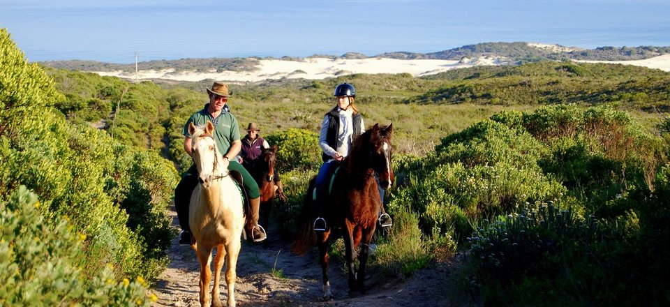 Experience Nature on Horseback, Quad Bike, Kayak, 4x4 or even take a Scenic Flight